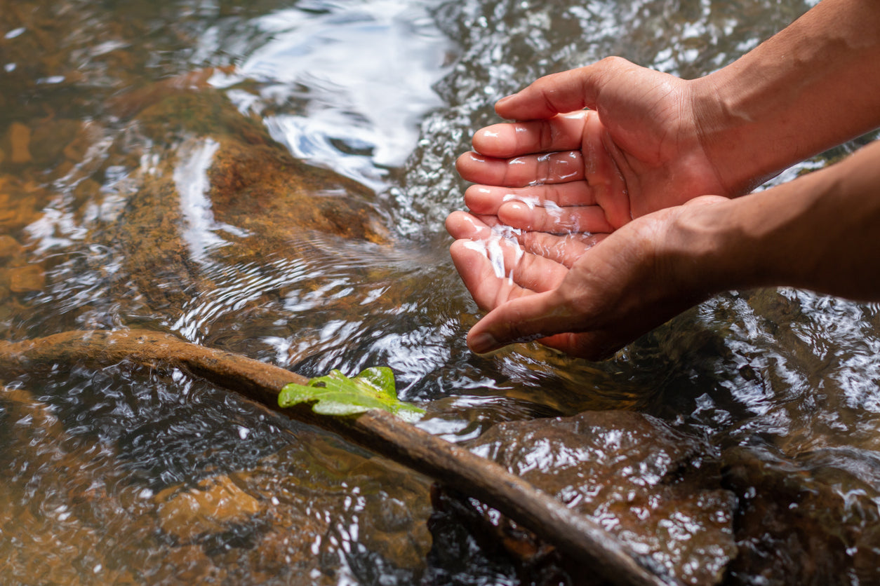 Hands holding water over a stream with a leaf